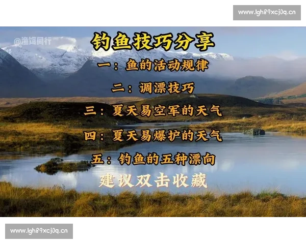 深入解析钓鱼比赛积分规则与计分方式让你轻松掌握得分关键技巧